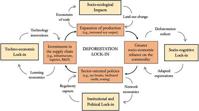 Understanding deforestation lock-in: Insights from Land Reform settlements in the Brazilian Amazon
